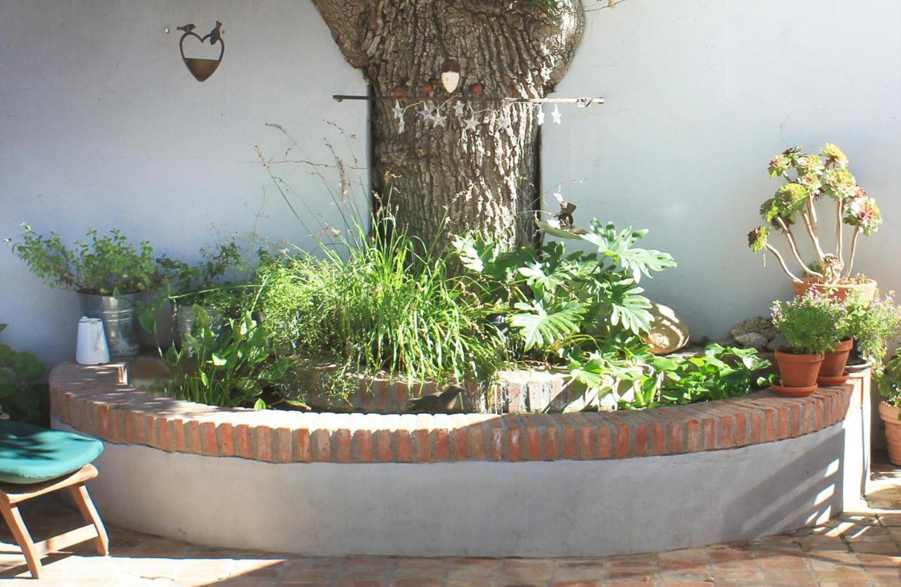 Himmelblau Boutique Bed And Breakfast Cidade Do Cabo Exterior foto